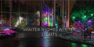 Pay What You Want For Winter Nights Winter Lights Starts Today In Rock Island