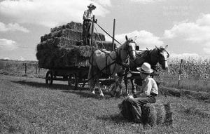 Quad-Cities Filmmakers Debut New Film On Dramatic Wisconsin vs. Amish Case Online