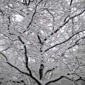 Botanical Center’s KinderNature Is All About Snowflakes!