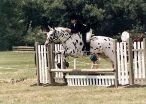 Take A Ride With Augie’s Equestrian Team
