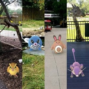 Pokemon Trainers Unite!