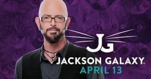 Get Your Cat Mojo On With Jackson Galaxy