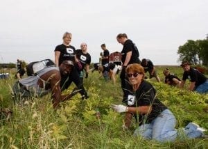 Here is Your Chance to Take Part in the MillionTrees Project