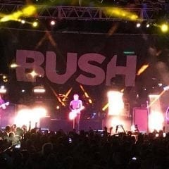 QC Scene: Bush