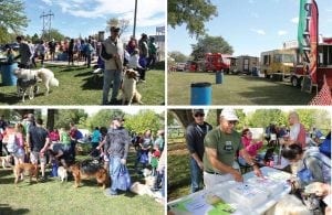 Plenty of Four-Legged Fun at Dogtoberfest!