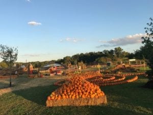 CribFest Brings Fall Fun To Coal Valley This Weekend