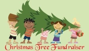 Christmas Tree Lot Opens at Brady Street Stadium
