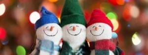 15th Annual Holiday Shopping Expo in Geneseo