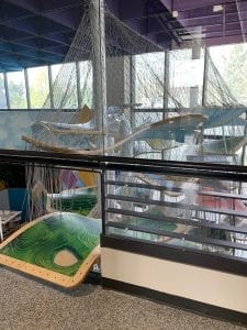 Family Museum Completes Installation of Luckey Climber, Opens To Public On Friday.