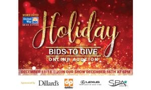 Figge Art Museum, United Way Both Hold Online Auctions