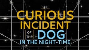 New Augustana Online Production Tells Illuminating Story of Autistic Boy