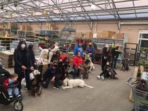 Rally Around Obstacles At All About Pets In Galesburg Today