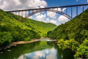 Bison Bridge More Than Half Way Toward Public Support Goal