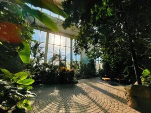 The popular Sun Garden had been open just Saturdays until April 1, when it reopened to seven days a week.