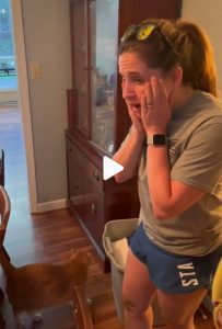 Rock Island Husband of the Year Surprises Wife For 40th Birthday