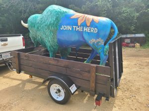 Talented Moline Artist Paints Buddy Bison to Promote Bison Bridge Project