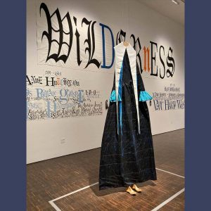 Davenport’s Figge Art Museum to Premiere Traveling Exhibit From N.Y. Artist