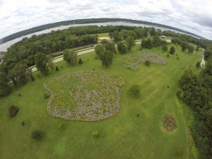 Celebrate Biodiversity At Illiniwek's BioBlitz This Weekend