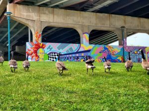 Metro Arts Paired Lead Artists With Paid Apprentices Through Early July