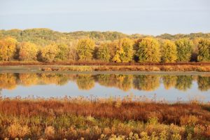 Nahant Marsh Holding Family-Friendly Events During October