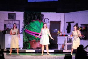 Quad-Cities Theaters Tackle Thorny Issue of Diversity and Inclusion