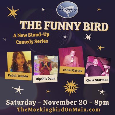 Davenport's Mockingbird Brings The Laughs With New Comedy Series, Funny Bird