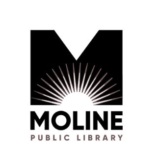 Quad Cities Writers Showcased At Moline Public Library