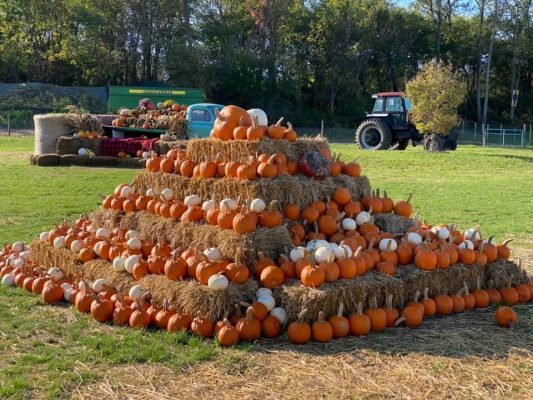 Corn Crib Nursery Fall Events Kick Off This Weekend