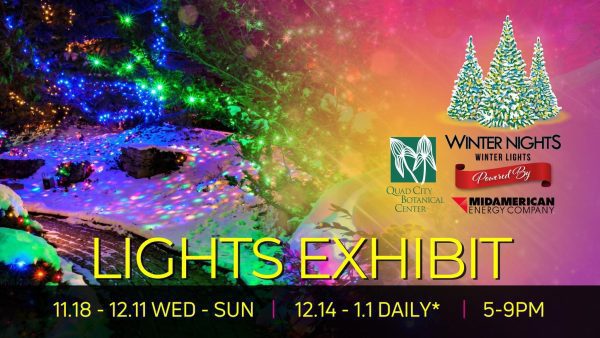 Winter Nights Winter Lights Sparks to Life In Rock Island