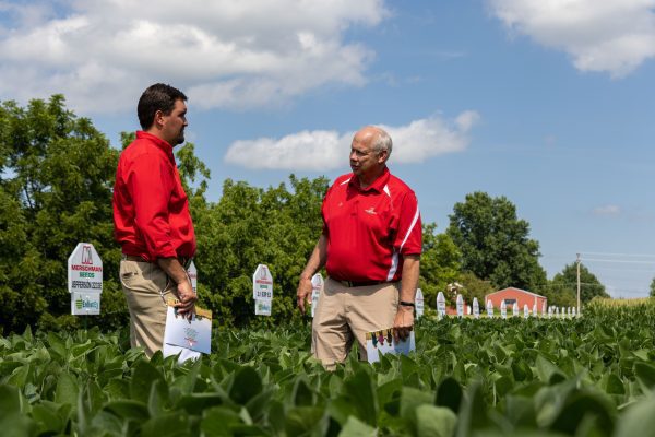 New Merschman Treatment Lets Farmers Check And Treat Disease, Pathogen Levels, Before Planting