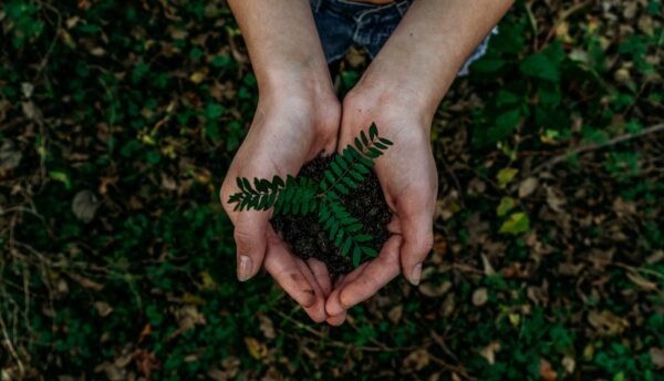 How Sustainable Choices Affect Community Lifestyle - QuadCities.com